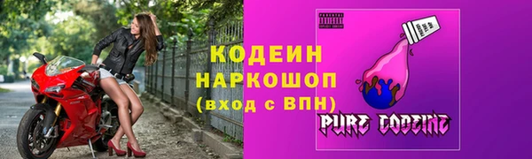 крисы Коряжма