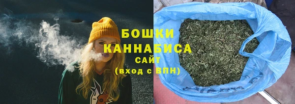 крисы Коряжма