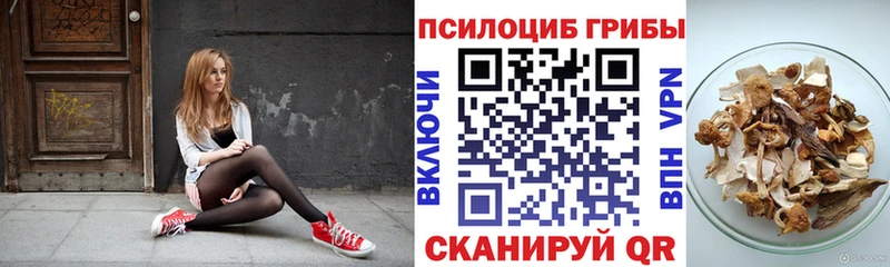 Купить закладки  Козловка  Галлюциногенные грибы мухоморы 